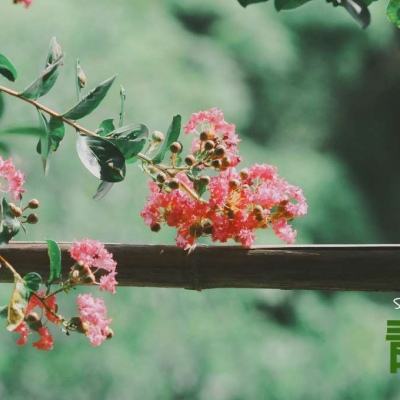 196体育(官方)APP下载安装手机app下载