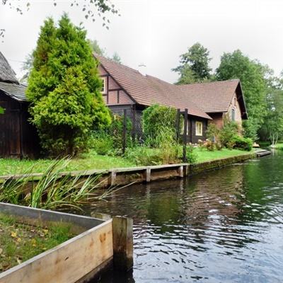 贝博app体育下载安装8499